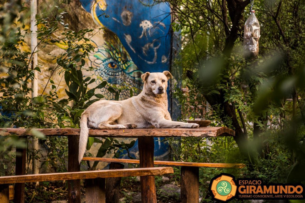 סן מרקוס סיירה Hostel Eco Cultural Giramundo מראה חיצוני תמונה