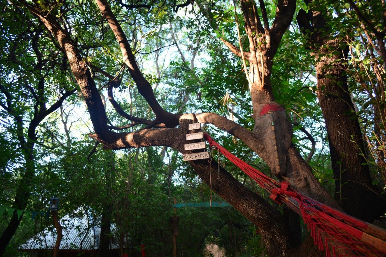 סן מרקוס סיירה Hostel Eco Cultural Giramundo מראה חיצוני תמונה